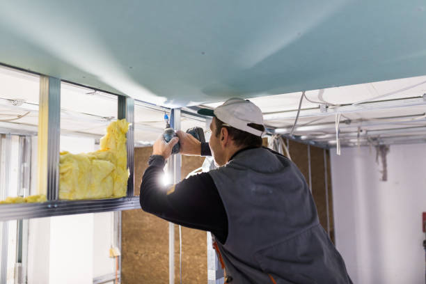 Best Eco-Friendly Insulation in Horseshoe Bay, TX