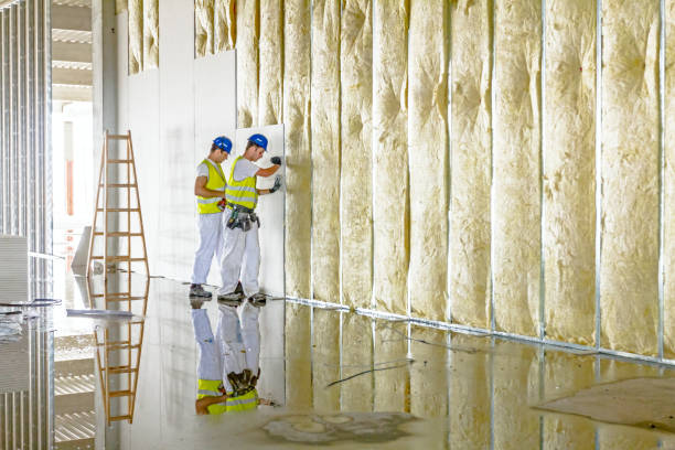 Best Spray Foam Insulation in Horseshoe Bay, TX